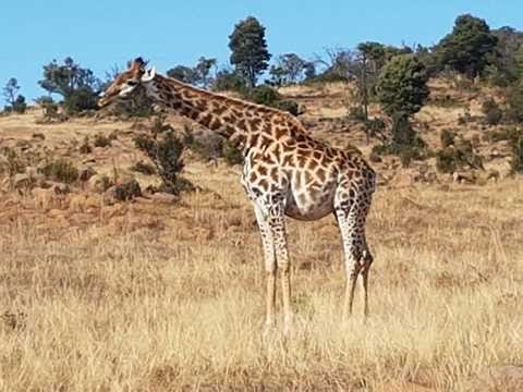 Food preparation in remote locations