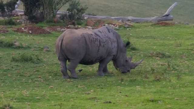 Village cooking scenes