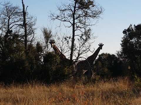 Community cooking experiences